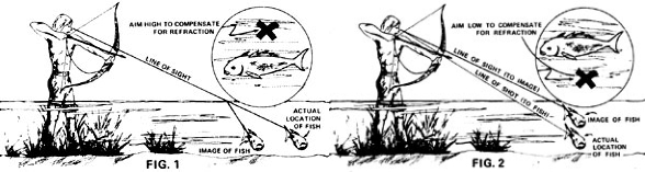 More on Hunting Carp